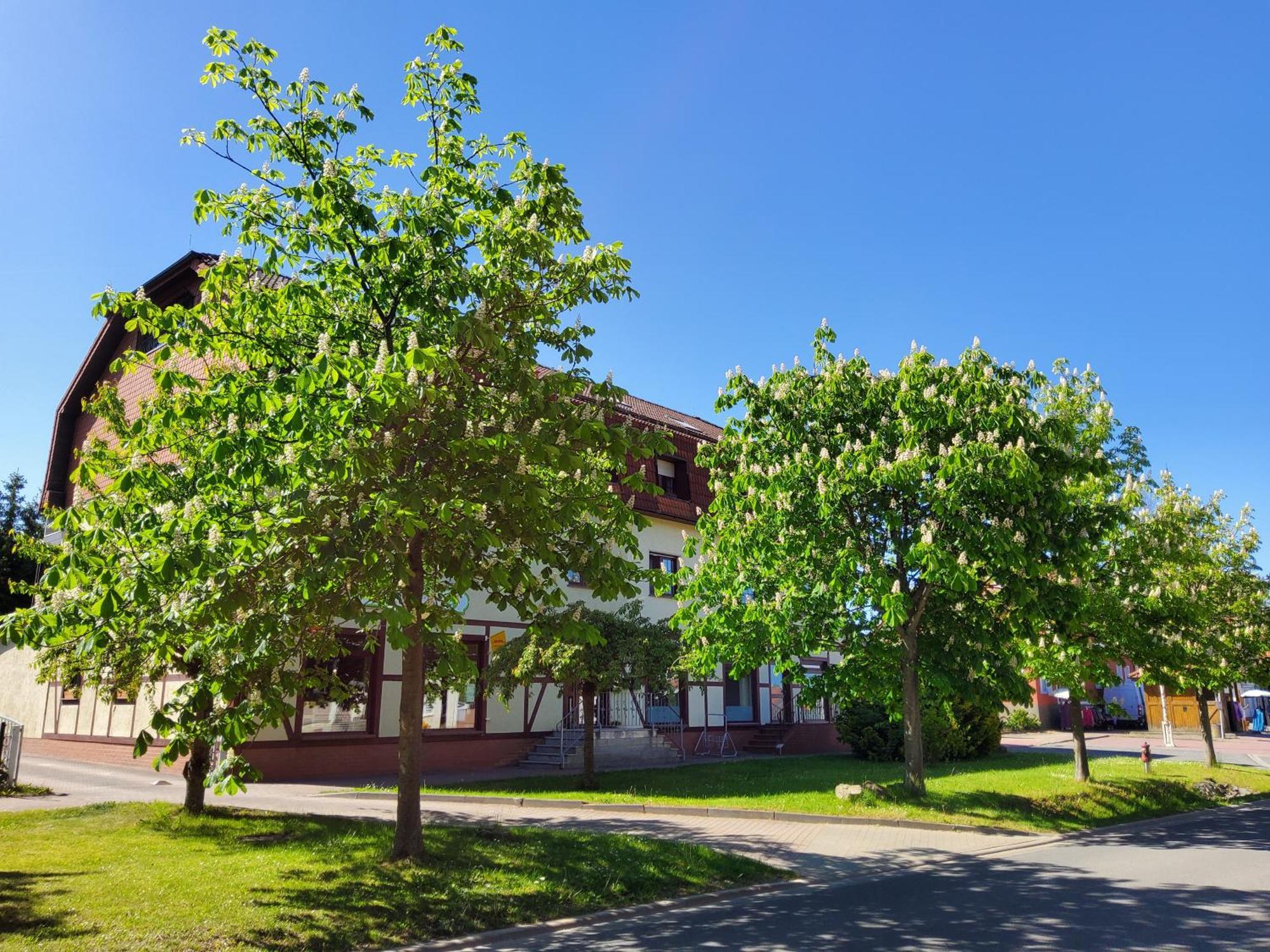 Boehms Friedrichsbrunn